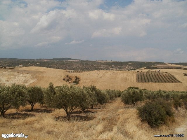 Parcel 17.000 sqm for sale