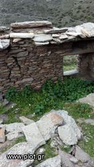 Αγροτεμάχια 7.651 τ.μ. για ενοικίαση, Κυκλάδες, Άνδρος-thumb-5