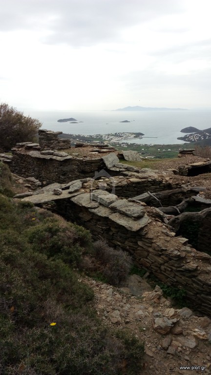 Αγροτεμάχια 7.651 τ.μ. προς ενοικίαση, Κυκλάδες, Άνδρος