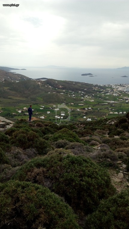 Αγροτεμάχια 7.651 τ.μ. προς ενοικίαση, Κυκλάδες, Άνδρος