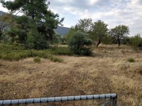Αγροτεμάχια 3.400 τ.μ. για πώληση