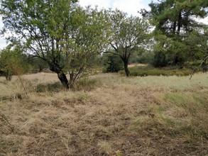 Αγροτεμάχια 3.400 τ.μ. πρός πώληση, Ν. Καβάλας, Θάσος-thumb-3