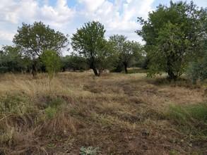 Αγροτεμάχια 3.400 τ.μ. πρός πώληση, Ν. Καβάλας, Θάσος-thumb-4