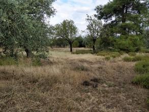 Αγροτεμάχια 3.400 τ.μ. πρός πώληση, Ν. Καβάλας, Θάσος-thumb-6