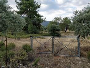 Αγροτεμάχια 3.400 τ.μ. πρός πώληση, Ν. Καβάλας, Θάσος-thumb-7