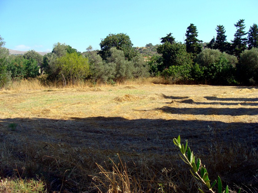 Land plot 8.353 sqm for sale, Chios Prefecture, Chios
