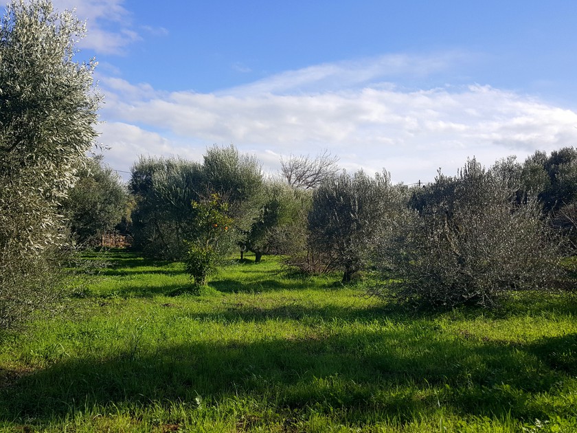 Land plot 1.157 sqm for sale, Chios Prefecture, Chios