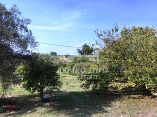 Οικόπεδο 8.750 τ.μ. για πώληση