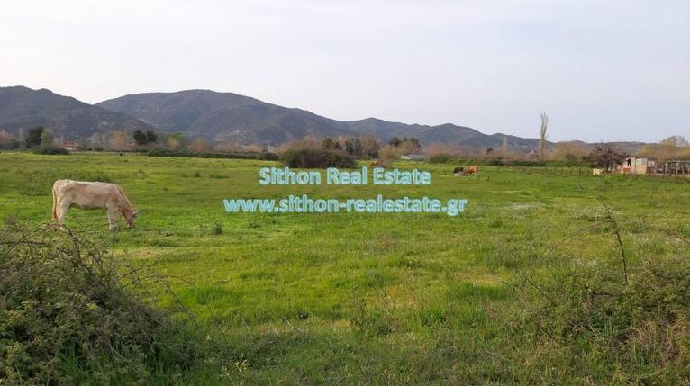 Parcel 3.420 sqm for sale, Chalkidiki, Toroni