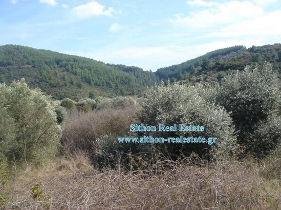 Parcel 1.494 sqm for sale, Chalkidiki, Toroni