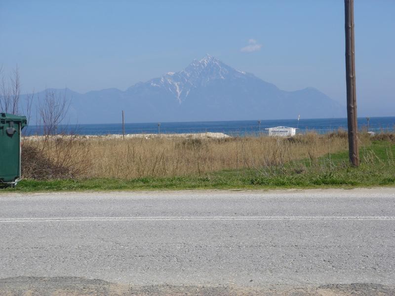 Αγροτεμάχια 2.500 τ.μ. προς πώληση, Σάρτη