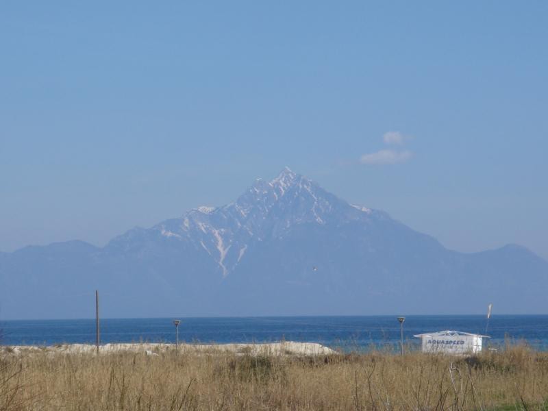 Αγροτεμάχια 2.500 τ.μ. προς πώληση, Σάρτη