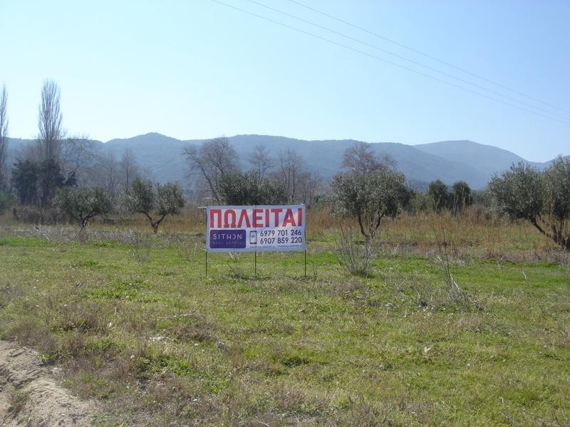 Αγροτεμάχια 2.500 τ.μ. προς πώληση, Σάρτη