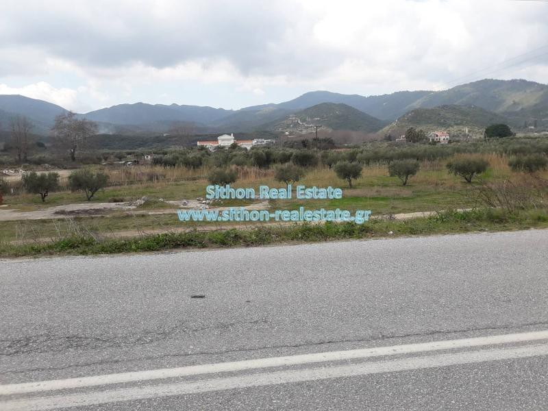 Αγροτεμάχια 2.500 τ.μ. προς πώληση, Σάρτη