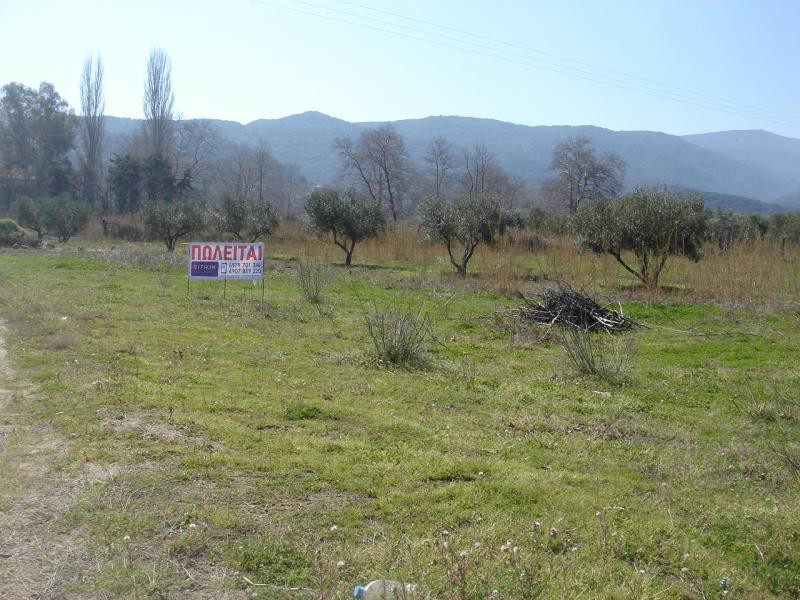 Αγροτεμάχια 2.500 τ.μ. προς πώληση, Σάρτη