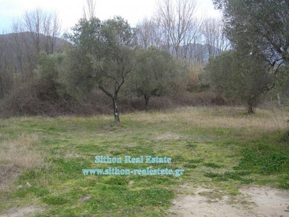 Parcel 1.432 sqm for sale, Chalkidiki, Toroni