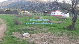 Αγροτεμάχια 2.000 τ.μ. πρός πώληση, Χαλκιδική, Τορώνη-thumb-3