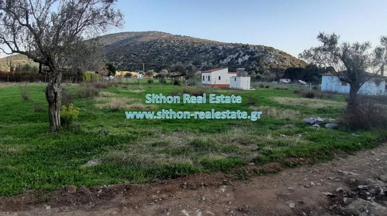 Parcel 2.000 sqm for sale, Chalkidiki, Toroni