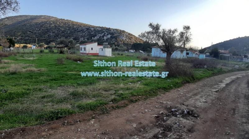 Αγροτεμάχια 2.000 τ.μ. πρός πώληση, Χαλκιδική, Τορώνη