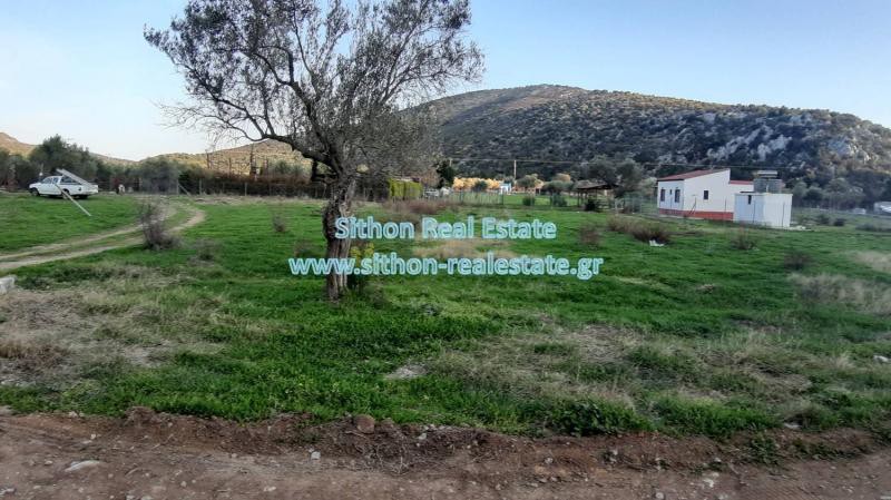 Αγροτεμάχια 2.000 τ.μ. πρός πώληση, Χαλκιδική, Τορώνη