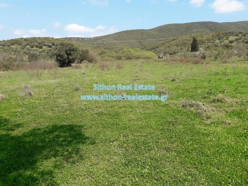 Αγροτεμάχια 1.900 τ.μ. προς πώληση, Κουφός Τορώνης