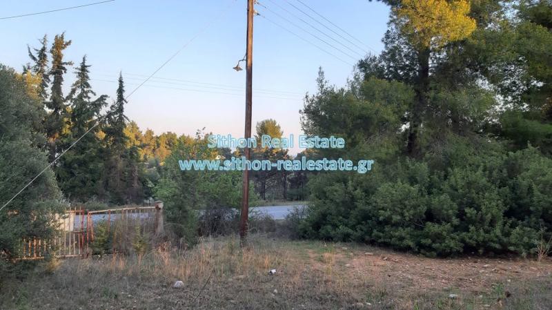 Αγροτεμάχια 3.200 τ.μ. προς πώληση, Νικήτη