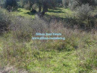 Αγροτεμάχια 408 τ.μ. για πώληση