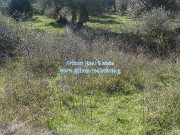 Parcel 408 sqm for sale, Chalkidiki, Toroni