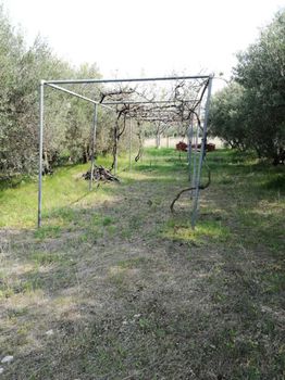 Αγροτεμάχια 500 τ.μ. πρός πώληση