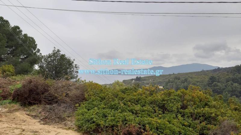 Αγροτεμάχια 3.992 τ.μ. προς πώληση, Σάρτη