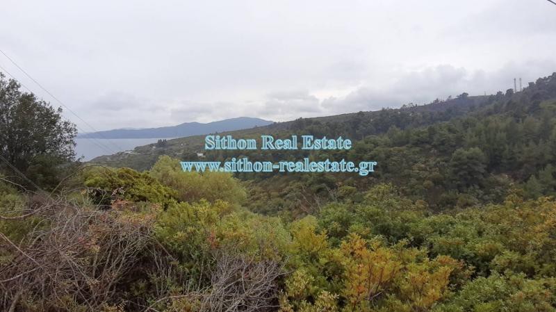 Αγροτεμάχια 3.992 τ.μ. προς πώληση, Σάρτη
