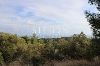 Αγροτεμάχια 3.992 τ.μ. για πώληση
