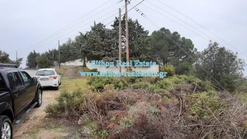 Αγροτεμάχια 3.992 τ.μ. προς πώληση, Σάρτη