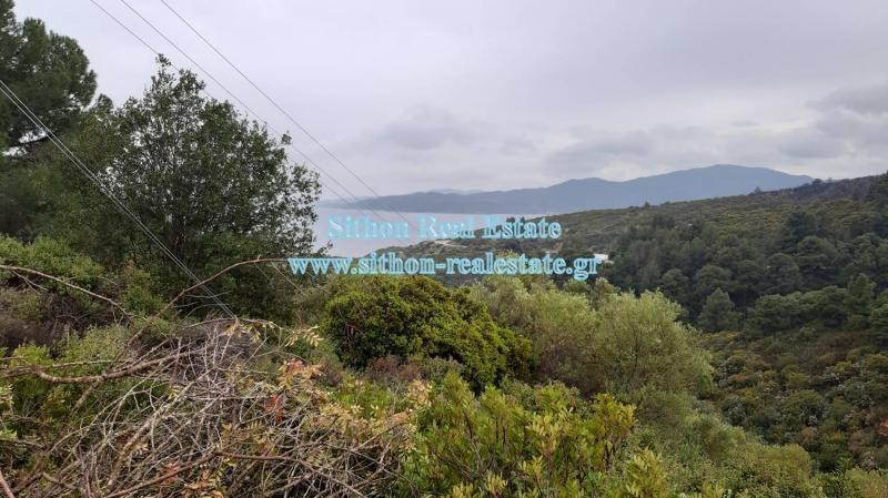 Αγροτεμάχια 3.992 τ.μ. προς πώληση, Σάρτη
