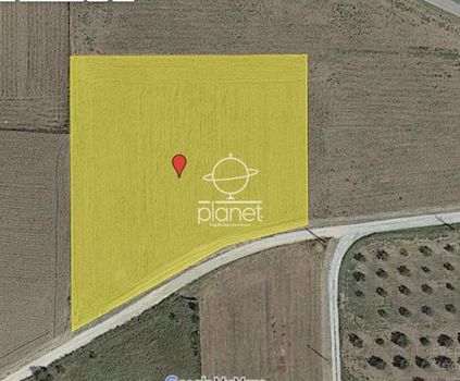 Parcel 5.000sqm for sale-Epanomi » Mesimeri