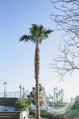 Βίλλα 1.000 τ.μ. για πώληση, Λεμεσός-thumb-15