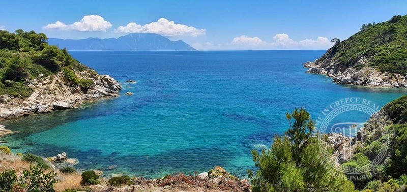 Αγροτεμάχια 12.000 τ.μ. πρός πώληση, Χαλκιδική, Τορώνη
