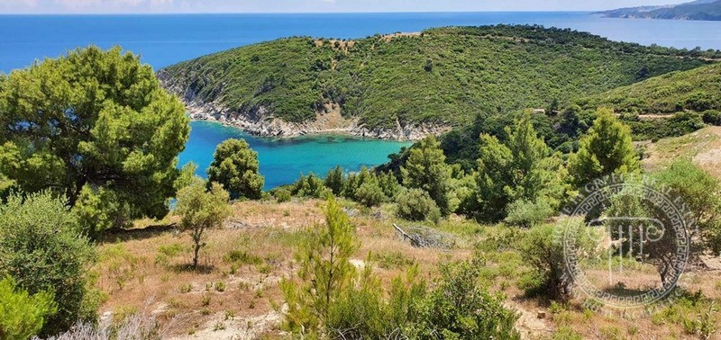Αγροτεμάχια 12.000 τ.μ. πρός πώληση, Χαλκιδική, Τορώνη