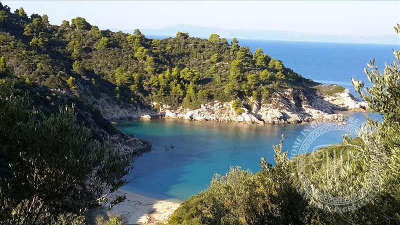 Αγροτεμάχια 12.000 τ.μ. πρός πώληση, Χαλκιδική, Τορώνη