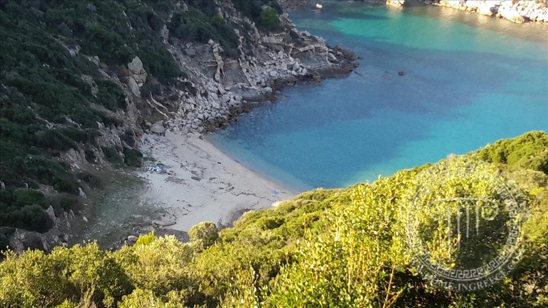 Αγροτεμάχια 12.000 τ.μ. πρός πώληση, Χαλκιδική, Τορώνη