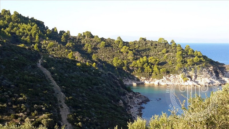 Αγροτεμάχια 12.000 τ.μ. πρός πώληση, Χαλκιδική, Τορώνη