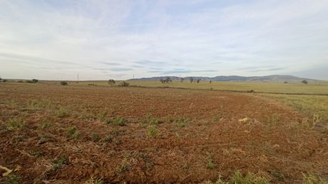 Parcel 7.000sqm for sale-Agios Athanasios » Agchialos