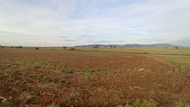 Αγροτεμάχια 7.000 τ.μ. για πώληση, Θεσσαλονίκη - Υπόλ. Νομού, Άγιος Αθανάσιος