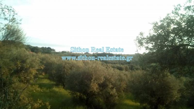 Αγροτεμάχια 6.500 τ.μ. προς πώληση, Δεβελίκι