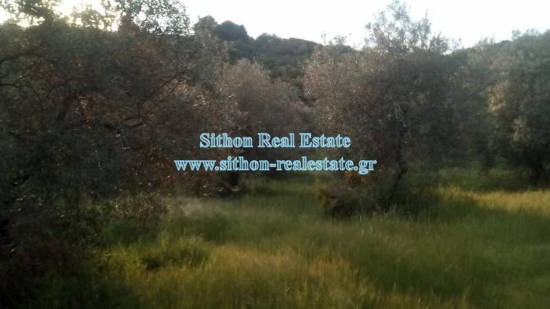 Αγροτεμάχια 6.500 τ.μ. προς πώληση, Δεβελίκι
