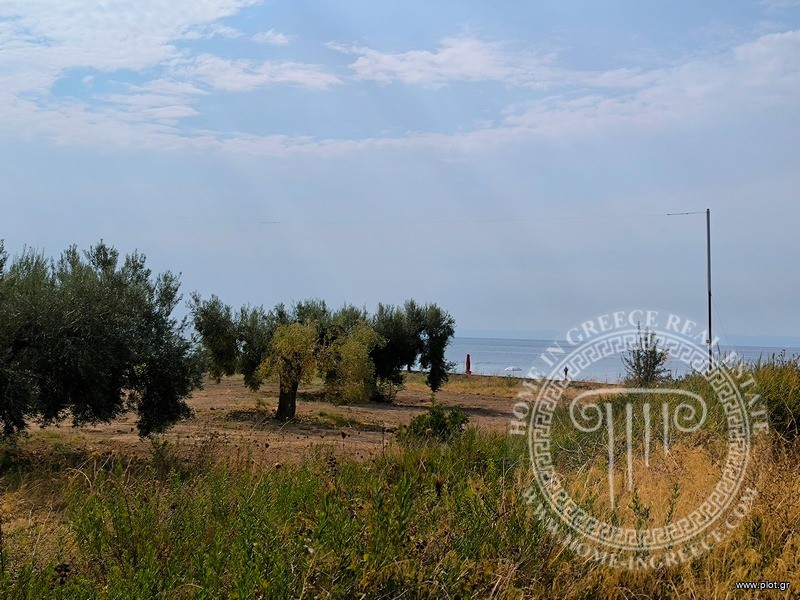 Οικόπεδο 4.770 τ.μ. πρός πώληση, Χαλκιδική, Πολύγυρος