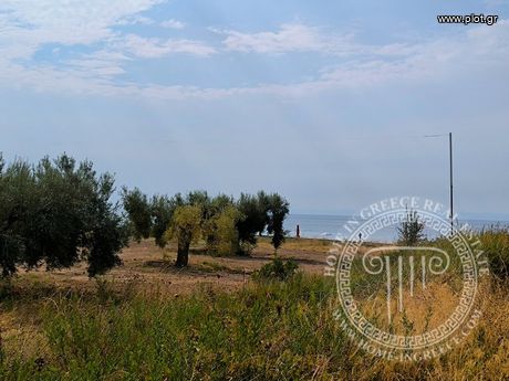 Οικόπεδο 4.770τ.μ. για πώληση-Πολύγυρος » Σκάλα γερακινής