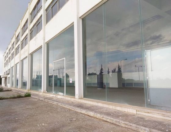 Business bulding 30.150 sqm for sale, Thessaloniki - Suburbs, Echedoros