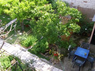 Store 110 sqm for sale, Ilia, Andravida-thumb-11