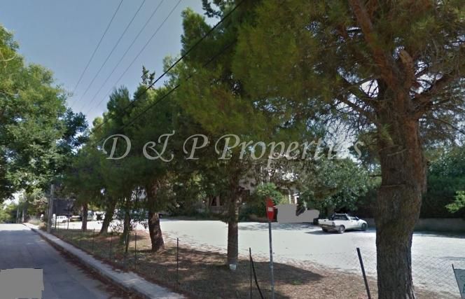 Land plot 2.000 sqm for sale, Athens - North, Drosia